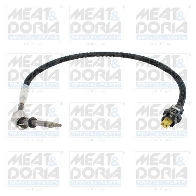 Sensor, exhaust gas temperature